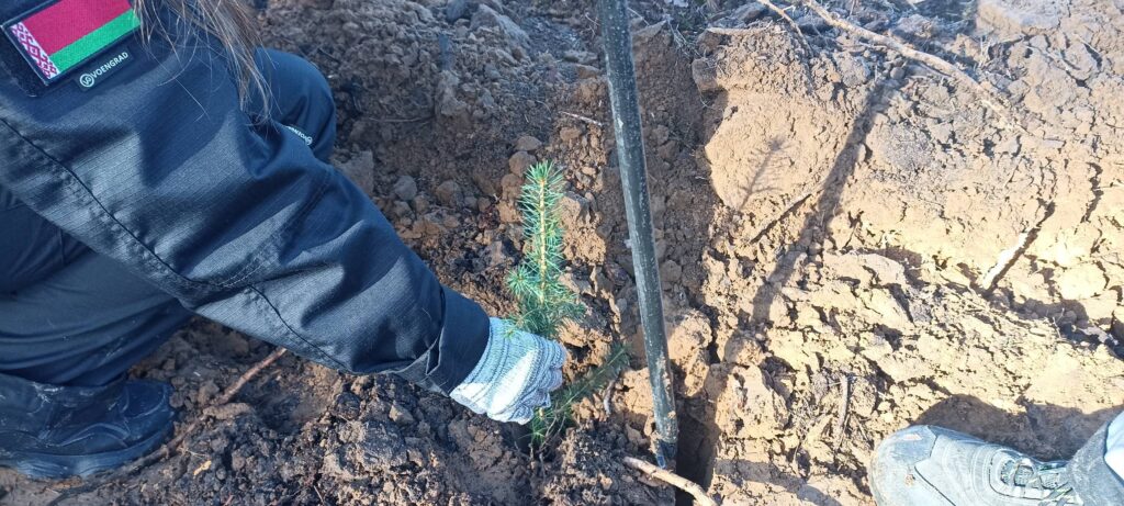 Вклад на целое столетие