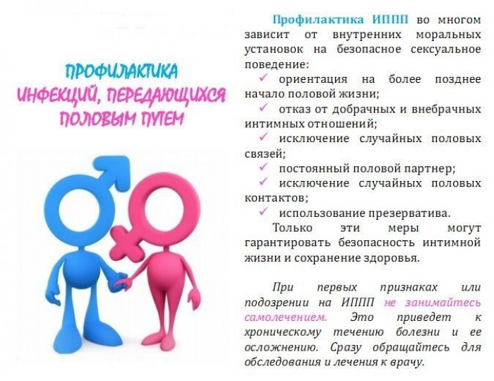 Единый день здоровья Февраль 2026